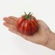 Tomato mini cake silicone mould handmade