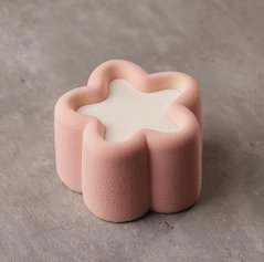 Star bento тістечко cиліконова форма ручної роботи