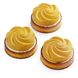 Small Spiral tarts silicone mould
