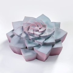 Succulent торт силіконова форма ручної роботи
