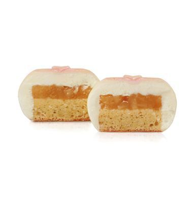 Wagashi cakes silicone mould +1